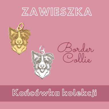 Zawieszka Border Collie