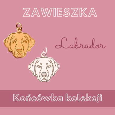 Zawieszka Labrador