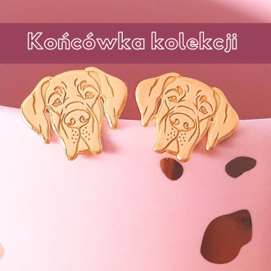 Złote kolczyki Dogi Niemieckie 