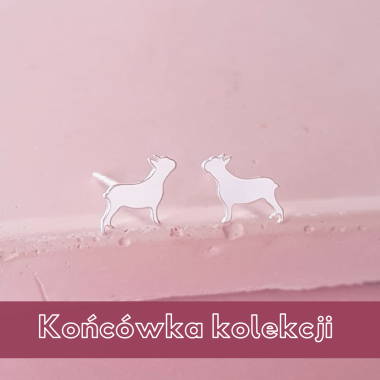 Srebrne kolczyki Buldożki Francuskie 