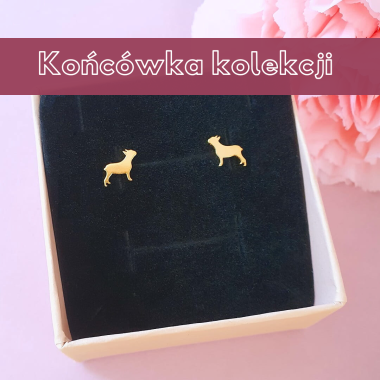 Złote kolczyki Buldożki Francuskie
