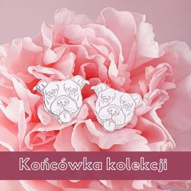 Srebrne kolczyki Amstaff
