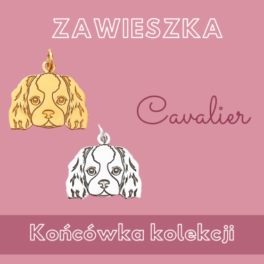 Zawieszka Cavalier