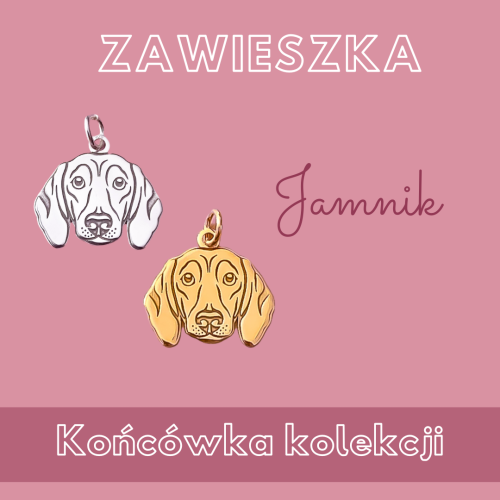 Wyprzedaż kolekcji.png