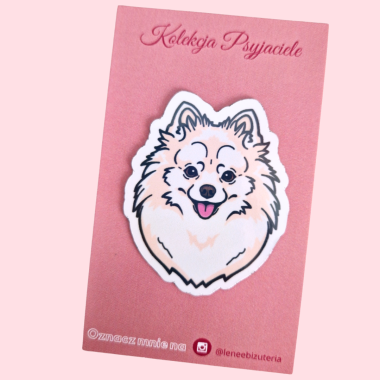 Duży magnes Pomeraniana/Szpic biały