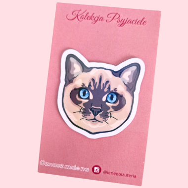 Duży magnes Kot Ragdoll