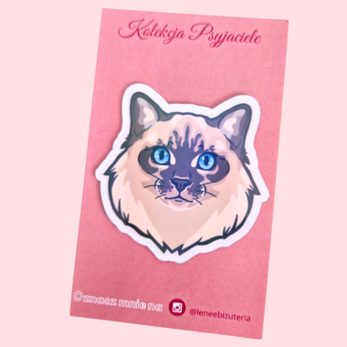 Duży magnes Kot Ragdoll długowłosy