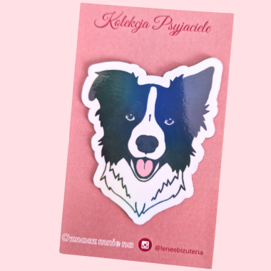 Duży magnes Border Collie