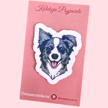 Duży magnes Border Collie merle