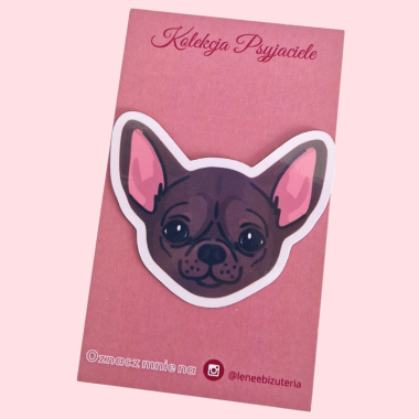 Duży magnes Chihuahua czekoladowa